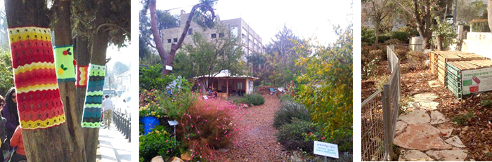 טיפוח סביבה ירוקה בירושלים