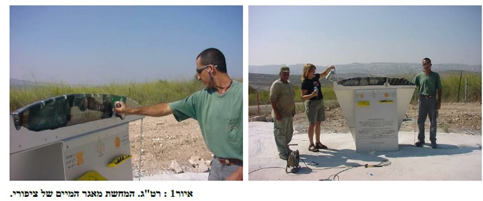 גן דטרוייט דגם 1