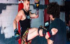 אומנות לחימה משולבת MMA